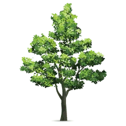footer-tree
